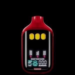 boutiq switch v5